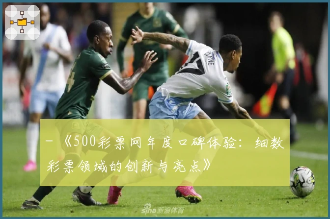 - 《500彩票网年度口碑体验：细数彩票领域的创新与亮点》